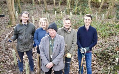 Celebrating 175 new trees near Querns Wood!